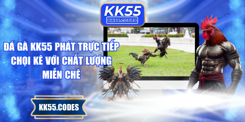 Đá gà KK55 phát trực tiếp chọi kê với chất lượng miễn chê